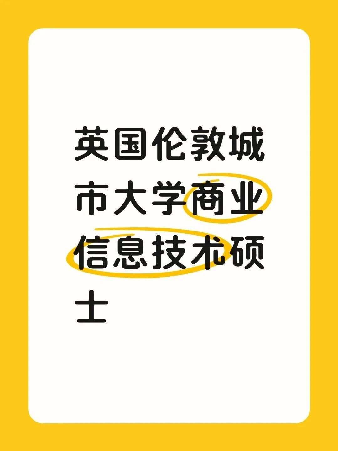 英国伦敦城市大学商业信息技术硕士
